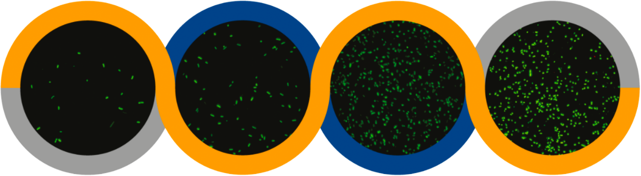 pg模拟器麻将胡了试玩版2024-pg模拟器麻将胡了试玩版免费模拟器