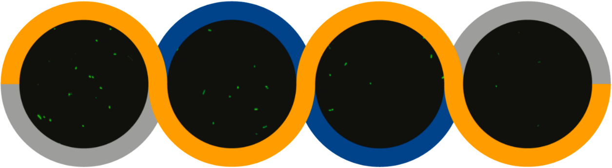 pg模拟器麻将胡了试玩版2024-pg模拟器麻将胡了试玩版免费模拟器